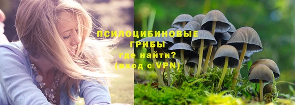 мяу мяу кристалл Горно-Алтайск
