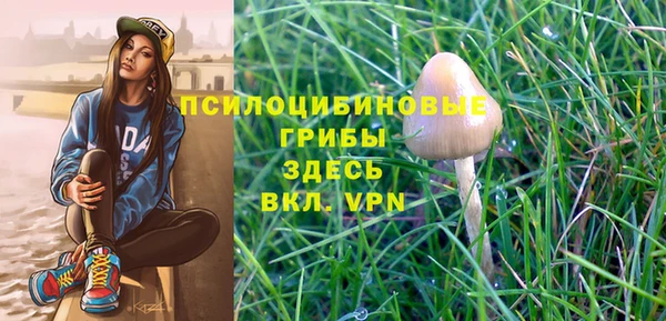 мяу мяу кристалл Горно-Алтайск