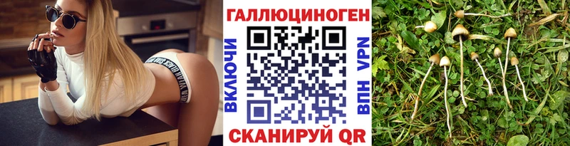 Псилоцибиновые грибы ЛСД  Купить закладки  Сольцы 
